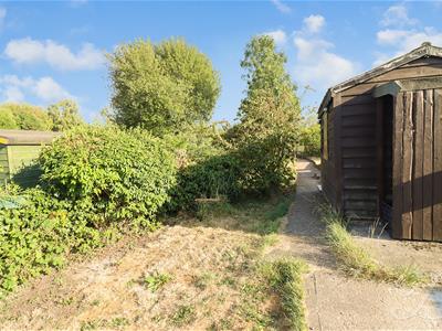 Picture 23